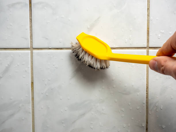 Best Toxic Mold Removal  in Martin, TN