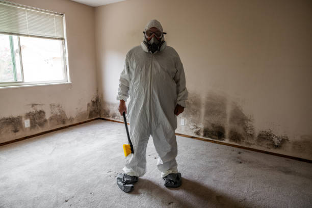 Best Office Mold Removal Services  in Martin, TN